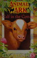 Calf in the Cottage