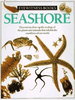 Seashore