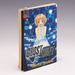 Ghost Hunt, Vol. 8