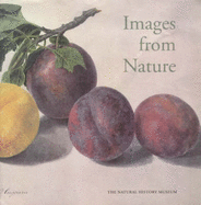 Images from Nature
