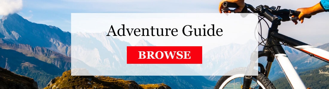 gift guide