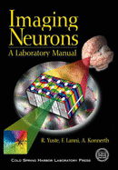 Imaging Neurons: A Laboratory Manual