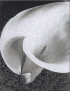 Imogen Cunningham