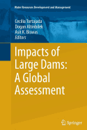Impacts of Large Dams: A Global Assessment