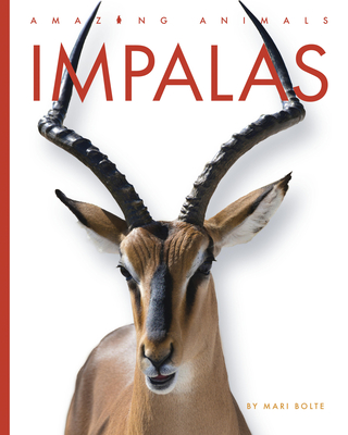 Impalas - Bolte, Mari