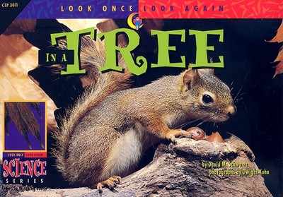 In a Tree - Schwartz, David M, and Kuhn, Dwight (Photographer)