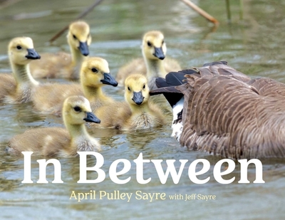 In Between - Sayre, April Pulley (Photographer), and Sayre, Jeff