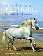 In Celebration of the Horse