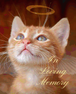In Loving Memory