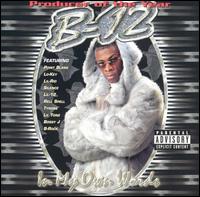 In My Own Words - B12