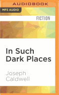 In Such Dark Places