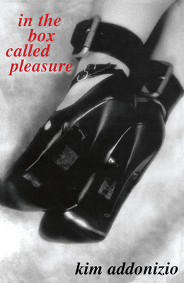 In the Box Called Pleasure - Addonizio, Kim