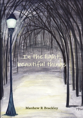 In the light, beautiful things - Brackley, Matthew R