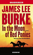 In the Moon of Red Ponies