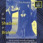 In the Shadow of Brahms: Trios by Brahms, Juon, Zemlinsky