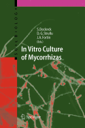 In Vitro Culture of Mycorrhizas