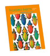 Incredible Insects of Christopher Marley Colouring Book