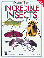 Incredible Insects