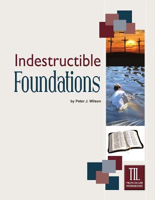 Indestructible Foundations - Wilson, Peter