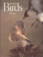 Indian Birds