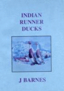 Indian Runner Ducks