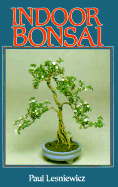 Indoor Bonsai