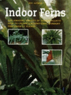 Indoor Ferns: Caring for Ferns