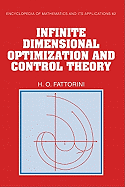Infinite dimensional optimization and control theory