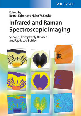Infrared and Raman Spectroscopic Imaging - Salzer, Reiner