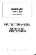 Input-Output Analysis: Foundations and Extensions
