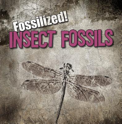 Insect Fossils - Connors, Kathleen