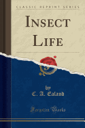 Insect Life (Classic Reprint)