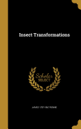 Insect Transformations