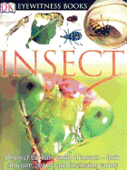 Insect