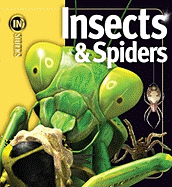 Insects and Spiders