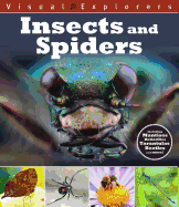 Insects and Spiders