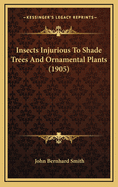 Insects Injurious to Shade Trees and Ornamental Plants (1905)