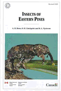 Insects of eastern pines