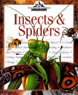 Insects & Spiders