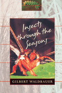 Insects Through the Seasons