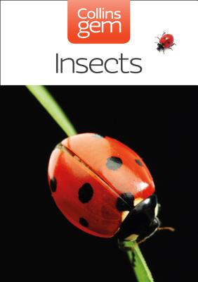 Insects - Chinery, Michael, and Gibbons, Bob (Photographer)