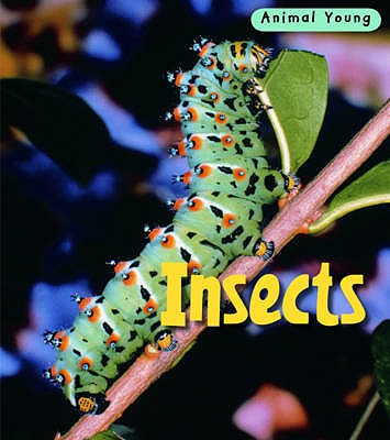 Insects - Theodorou, Rod