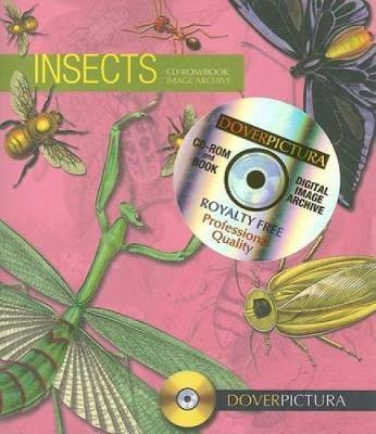 Insects - Weller, Alan