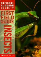 Insects