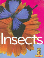 Insects - Pike, Katy