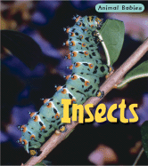 Insects
