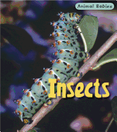 Insects