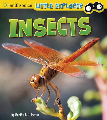 Insects - Rustad, Martha E H