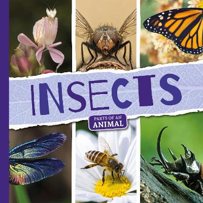 Insects - Dufresne, Emilie