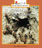 Inside an Ant Colony